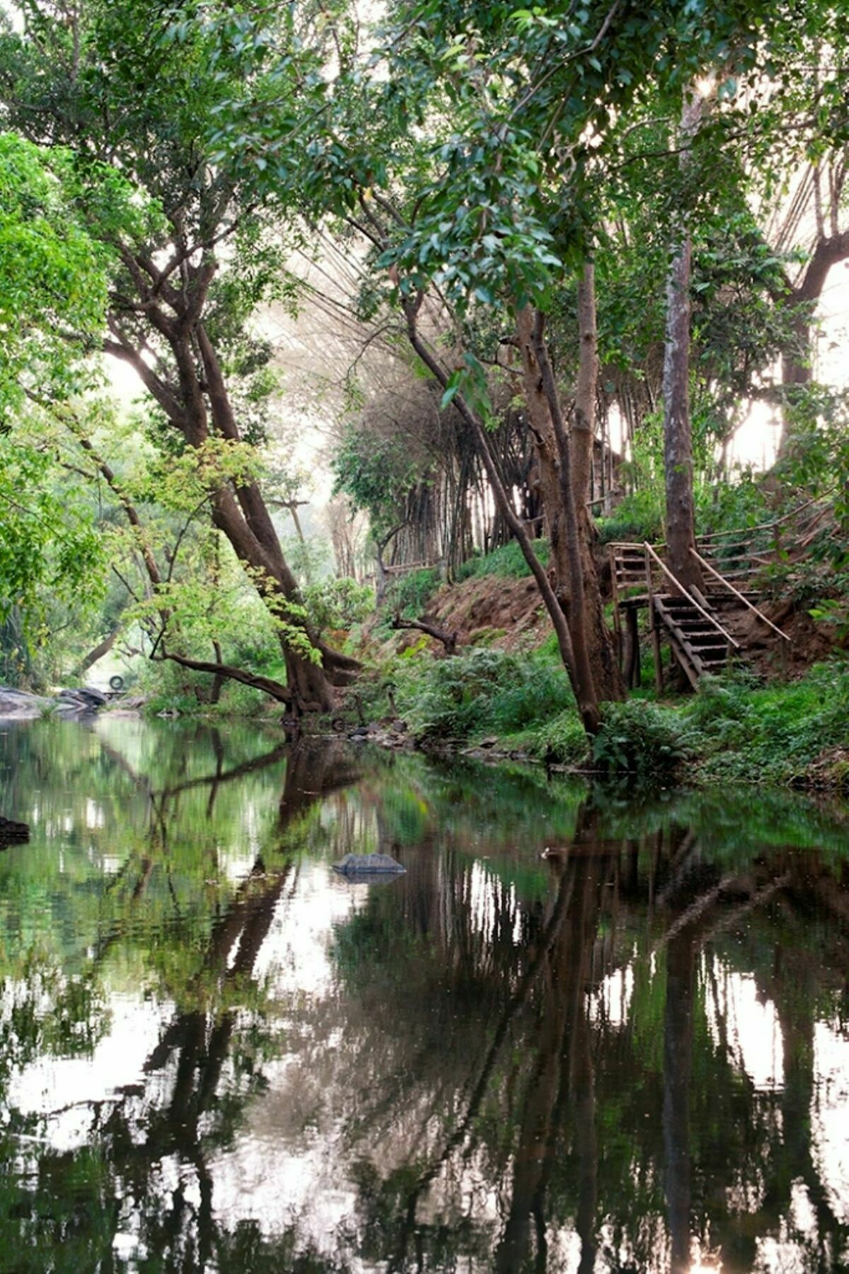 Amanvana Spa Resort, Coorg Kushālnagar Extérieur photo