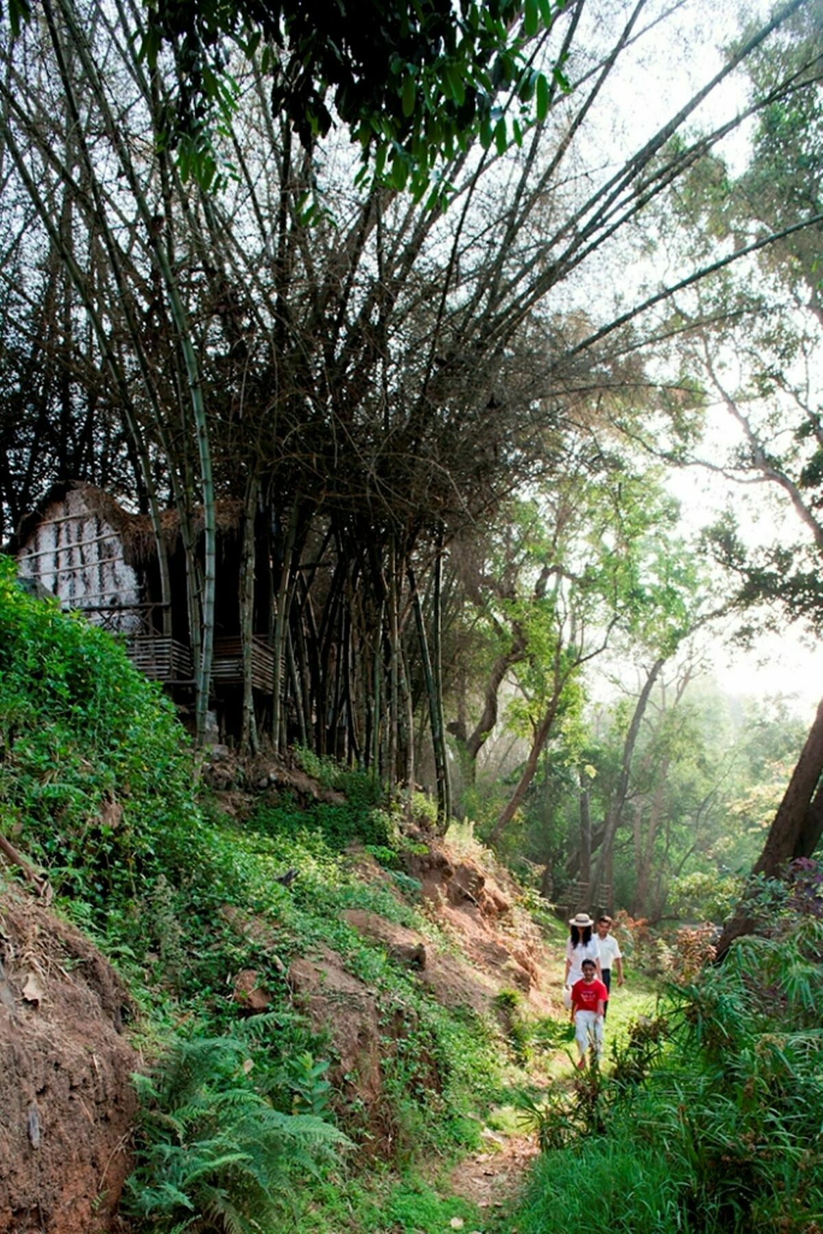Amanvana Spa Resort, Coorg Kushālnagar Extérieur photo